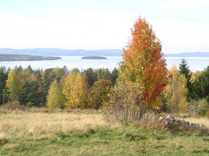2005